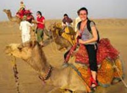 Delhi Agra Bharatpur Ranthambore Jaipur Delhi Tour