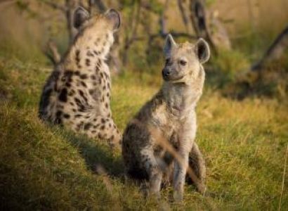 2 Days Akagera National Park Safari Package