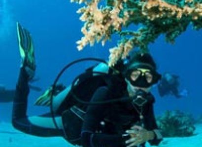 Andaman Island Honeymoon Tour