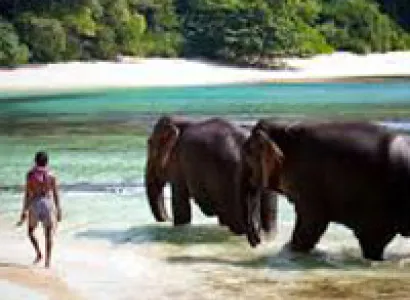 Radhanagar Beach Tour Package