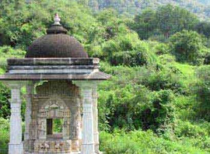 Rajasthan Jungle Tour Package