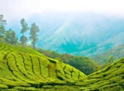 Kerala Holiday Tour package 7D 6N