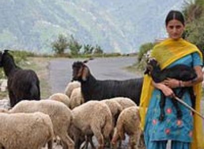 Escorted Himachal Holiday Tour Packages For Schools, Kids & Moms