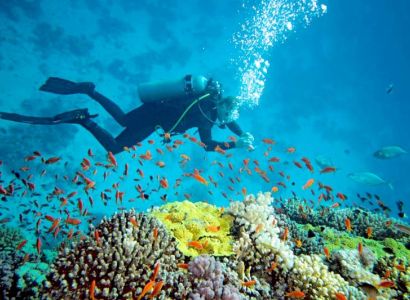 Port Blair City Tour Package