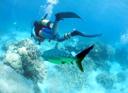 Enjoy Holidays in Andaman Tour Package