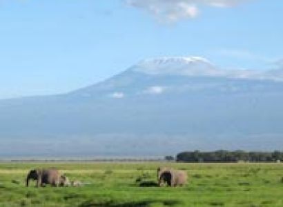 Plains and Migration Safari Tour