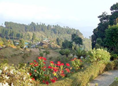 Kalimpong - Gangtok - Pelling - Darjeeling Tour Package 8 Nights