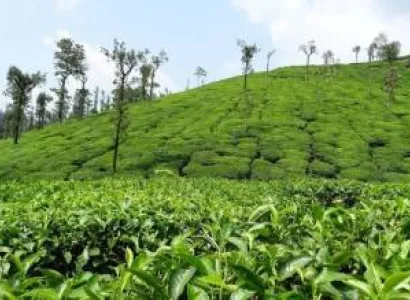 Gangtok - Lachen - Lachung - Pelling - Darjeeling Tour