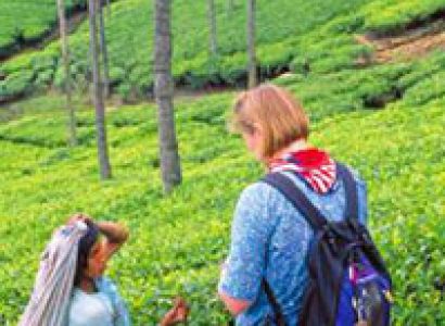 Kerala Deluxe Package 3Days