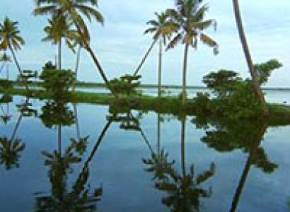 Hill Station Package With Backawater