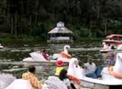 Summer Vacation Tour