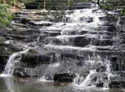 Student Tour packages (Ooty, Kodaikanal, Wayanad)