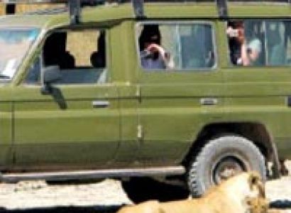 12 Days And Nights Kenya Mid Range Safaris Tour