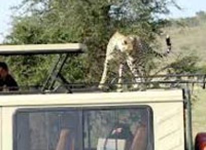 3Days 2Nights Maasai Mara Driving Option At: Us $ 540 And Flying Option At Ud $ 144O
