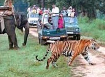 Adventure Holiday In Jim Corbett Tour