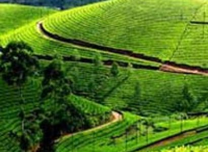 Darjeeling Luxury Package