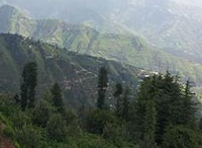 Monsoon Magic in Fagu Valley - Shimla Package
