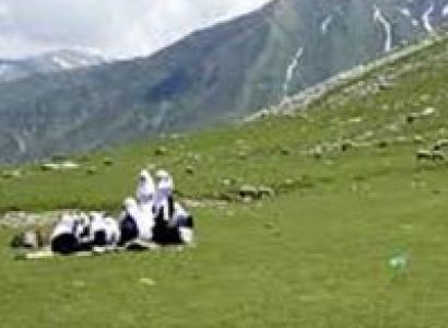 Discover Kashmir Tour