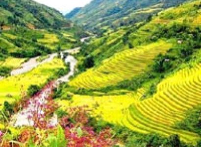 Sapa Easy Trekking 2 Days - Home stay