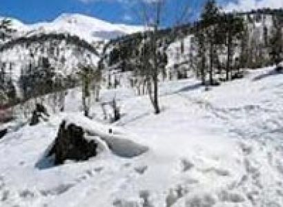 Shimla Short Escape Package