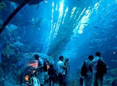 Dubai Shopping festival 2015