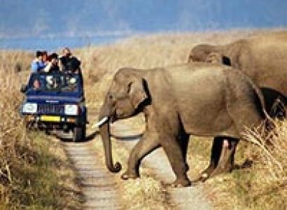 Rajasthan Wildlife Tour Package