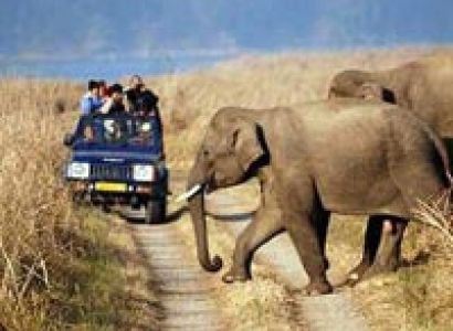 Corbett Nainital Park Tour