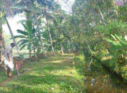 06 Nts & 07 Days Kerala Holiday Package