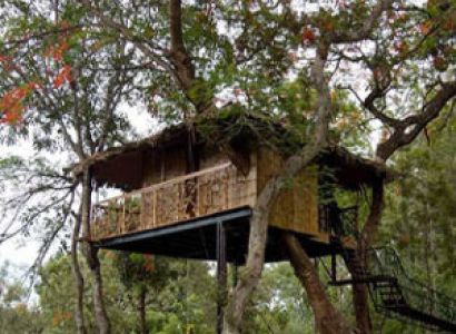 05 Nights & 06 Days Kerala Honeymoon Package Image