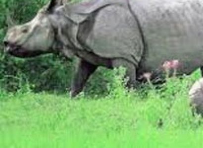 North-East Beauty (Kaziranga 2N - Shillong 2N) Tour