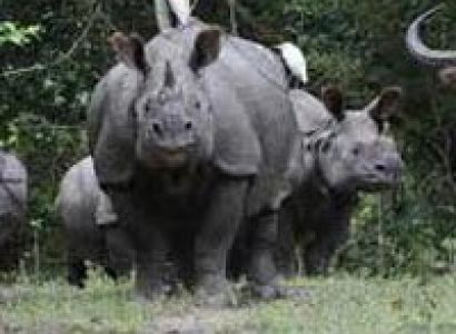 Peaks & Lakes (Shillong 2N - Guwahati 2N) Tour