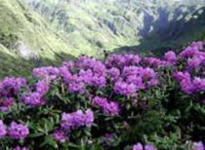 Cultural Holidays in Bhutan Tour