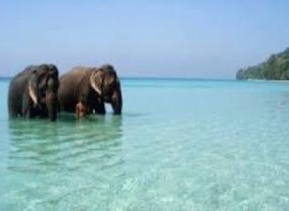 7 Days Amazing Andaman Tours
