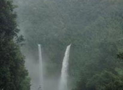 Bolaven Plateau Coffee Tour