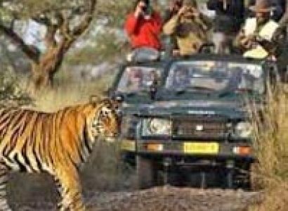 Rajasthan Wildlife Safari Tour
