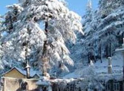 Shimla Volvo Package