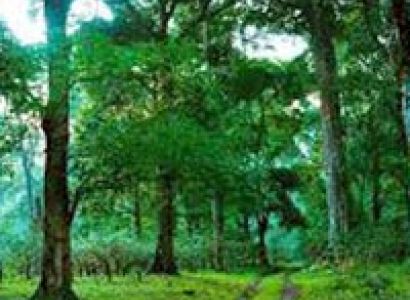 Wayanad & Kabini from Bangalore Tour