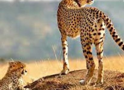 City Fantacy China Hong Kong ( Land Package )