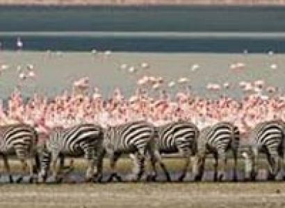 Discover The Secrets of Northern Tanzania Tour