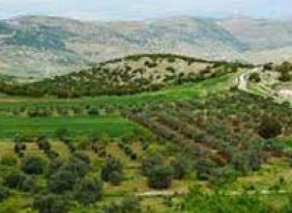 3 Days Israel’s Coast & North Tour