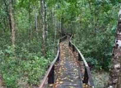 Kolkata - Sundarbans Tour