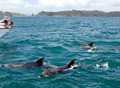 Enjoy Holidays in Andaman Tour Package