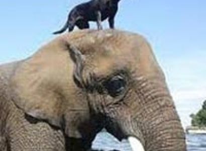 Exotic Havelock Tour