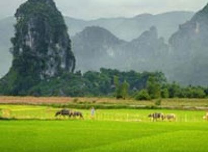 Ngoc Son & Ngo Luong - Cuc Phuong Trekking Tour