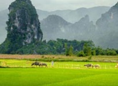 Experience of Vietnam & Cambodia 21 Days/ 20 Nights