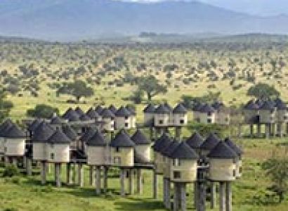 Two Days Tsavo East and Salt Lick