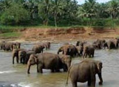 Exotic Sri Lanka Sri Lanka Tour