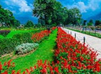 Kashmir Paradise Tour
