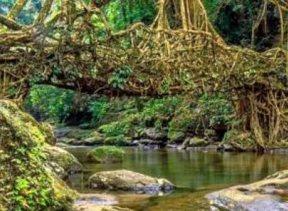 6 Days 5 Nights Mesmerizing Meghalaya Group Trip