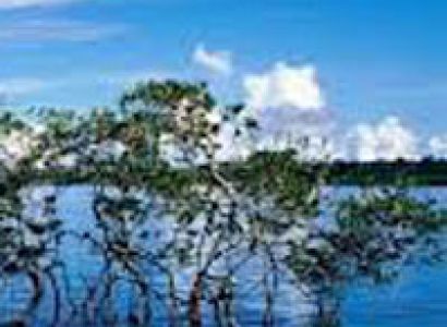 Port Blair - Havelock Island with Baratang Tour